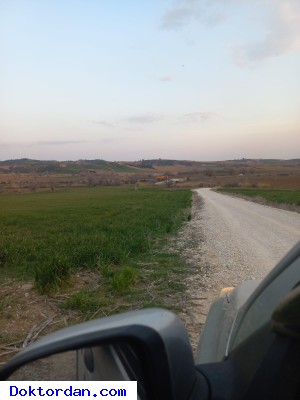 TARLA